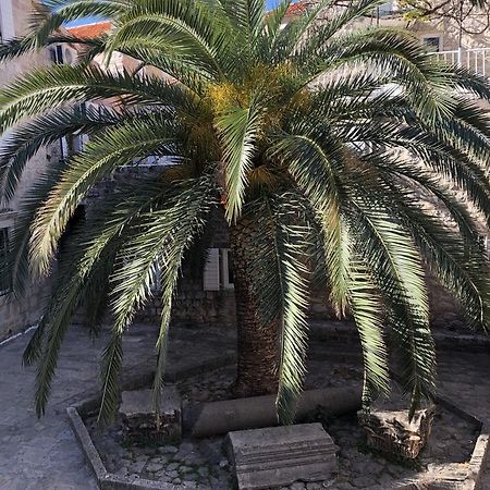 Apartment Viva Μπούντβα Εξωτερικό φωτογραφία